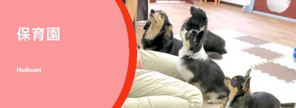 犬の保育園