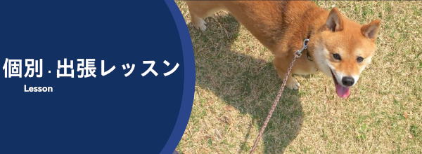 犬の個別レッスン